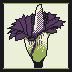 Pixel art rendition of a corpse flower, using a minimalist four colour palette consisting of purple, light green, dark green and a dark gray.